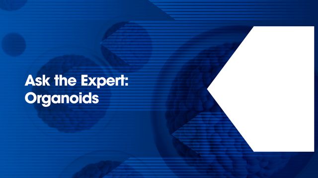 Blue graphic with 3D organoid structures and the text 'Ask the Expert: Organoids'. 