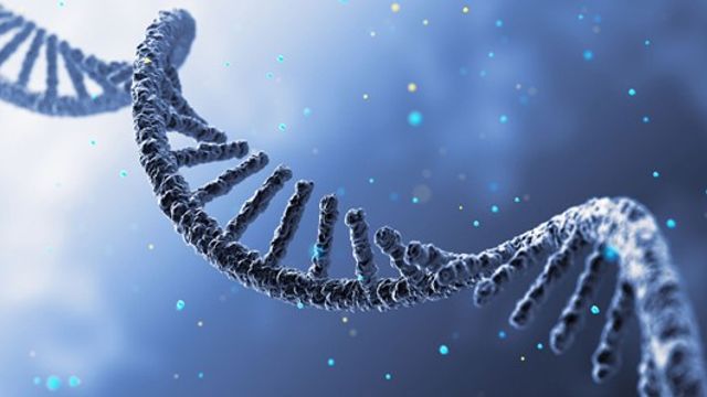 Visual rendering of an mRNA molecule symbolizing optimized sequence design and GMP production. 
