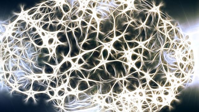 Interconnected star-shaped brain cells fill the shape of a brain. 