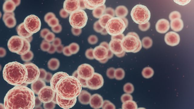 3D illustration of cancer cells under a microscope, showing clusters of abnormal, rapidly dividing cells with textured surfaces against a dark background. 