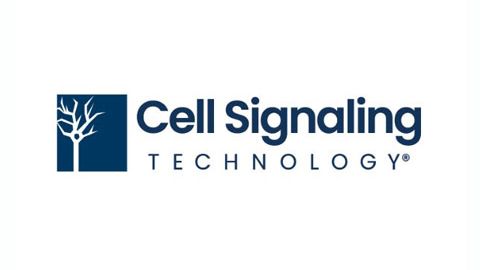 A logo for the brand Cell Signaling Technology