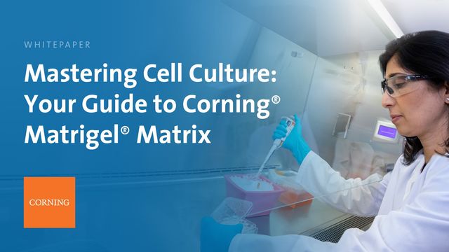 Corning whitepaper cover with scientist pipetting in biosafety cabinet and title Mastering Cell Culture: Matrigel Matrix 