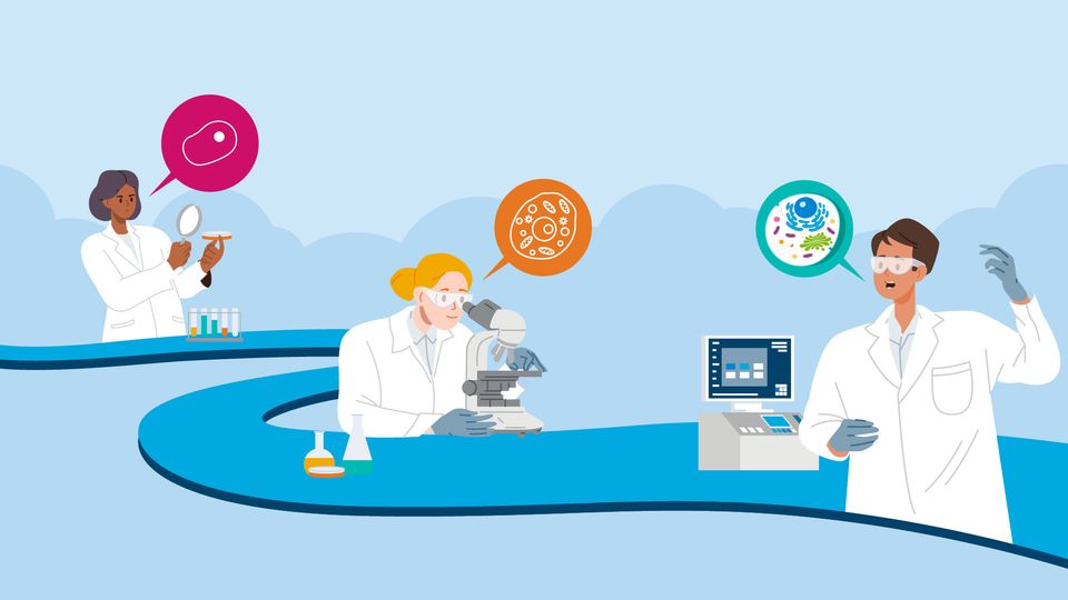 Illustration of scientists working in a lab, examining samples, using microscopes, and analyzing cell data on computers.