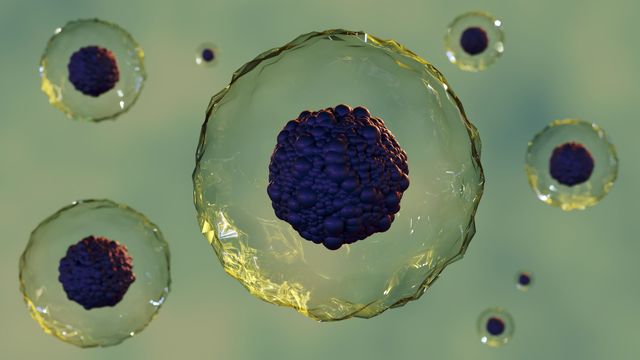 Group of human cells floating on a light green background. 