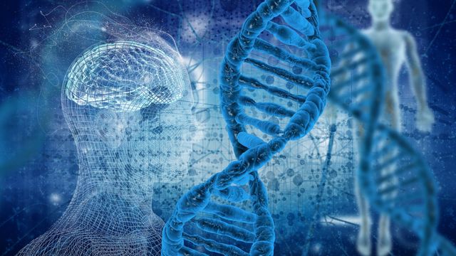 A digital illustration showing a double helix DNA strand in vivid blue, superimposed over a wireframe model of a human head and a blurred full-body figure in the background. 