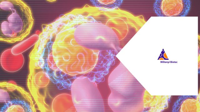 Illustration of eosinophils interacting with blood cells, used in immunology and cell biology research with Miltenyi logo. 