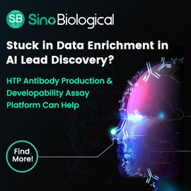 Sino Biological ad with digital face graphic promoting AI lead discovery support through HTP antibody production and assays 
