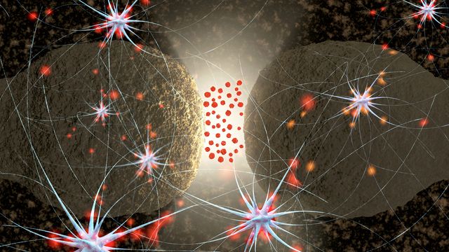 Histamine in Complex Biological Matrices: Application to Inflammation Studies content piece image 