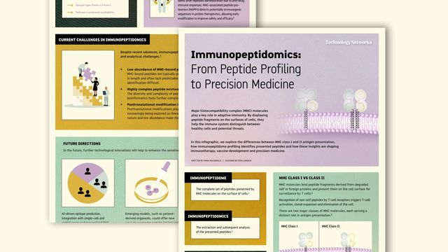 Infographic explaining immunopeptidomics and its role in precision medicine. Text reads: Immunopeptidomics: From Peptide Profiling to Precision Medicine 