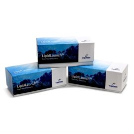 Three boxes of LipidLaunch on a white background. 