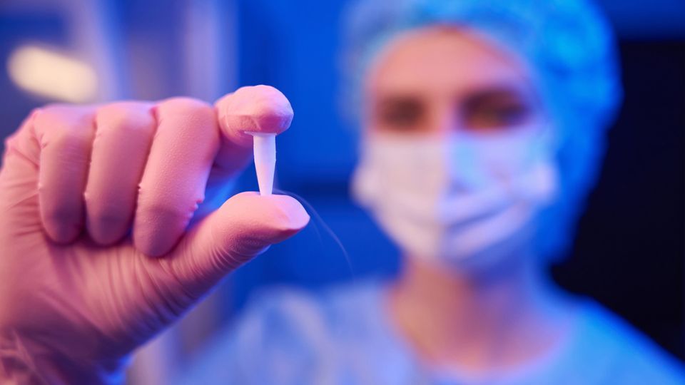 Scientist holding a cryopreserved cell sample in a sterile lab environment.