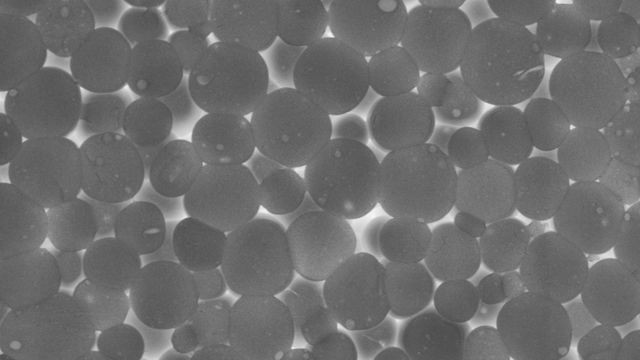 A collection of iNK cells from PSC spheroids 