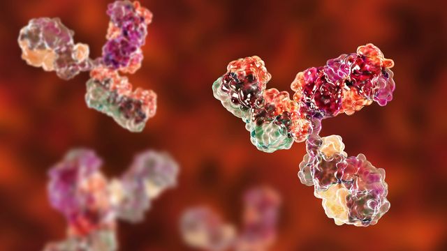 3D illustration of antibodies with colorful molecular surfaces against a red background. 