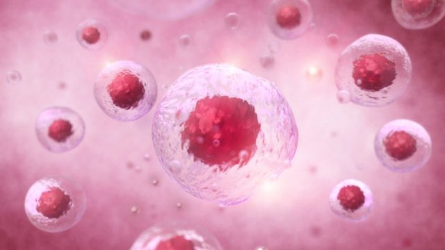 3D illustration of cells with highlighted centers, representing high-plex mapping of cell-cell communication in tissue samples. 