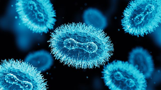 3D rendering of monkeypox virus particles with detailed surface spikes on a dark background. 