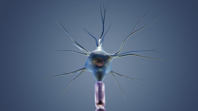 3D illustration of a bioluminescent brain cell with glowing neuron structure and synapse details. 