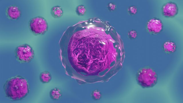 Illustration of cells. The cells are pink and are floating on a blue background. 