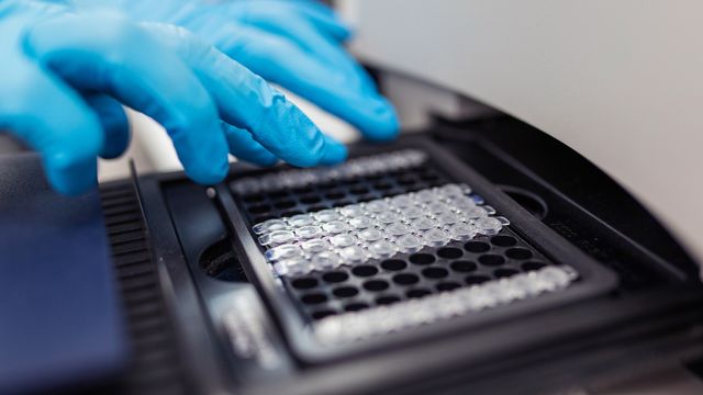 Gloved hand of a scientist putting test 96 well plate into real-time PCR machine 