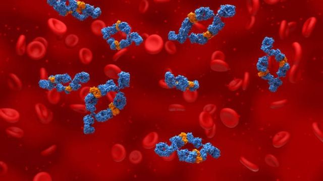 Monoclonal antibodies  