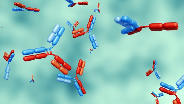 3D illustration of bispecific antibodies in red and blue, showcasing their dual-targeting structure on a teal background. 