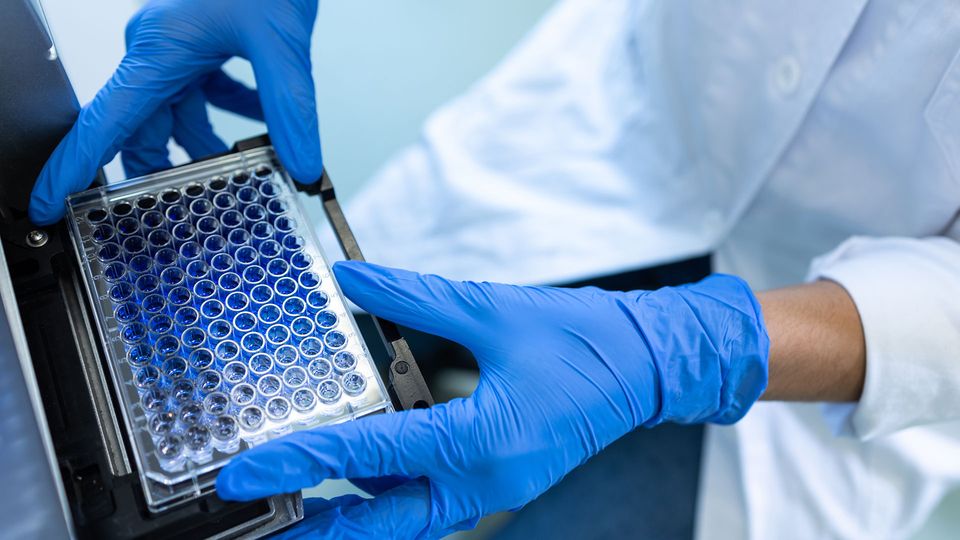 A person wearing a lab coat and blue nitrile gloves puts a 96 well plate containing blue liquid into a plate reader.