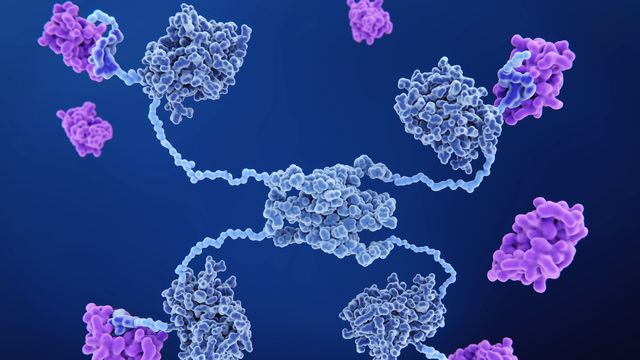 3D molecular illustration of protein structures in blue and purple, representing complex protein interactions on a dark background. 