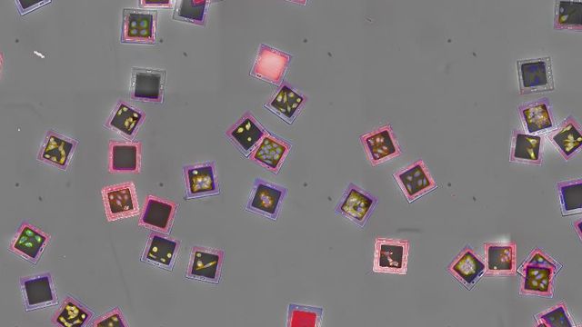 Fluorescently barcoded cells under microscopy showing multiplexed optical patterns. 
