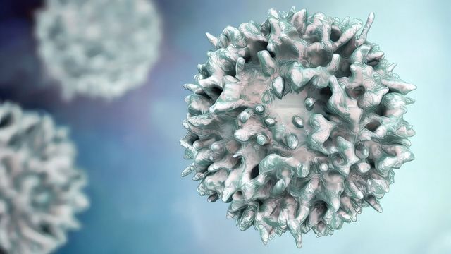 3D illustration of immune cells. The cells are white and are floating on a blue background. 