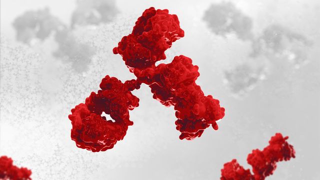 3D-rendered illustration of red antibody proteins with a complex structure, floating in a light background 