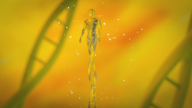 Visual of human figure entwined with DNA strands, representing human genomics. 
