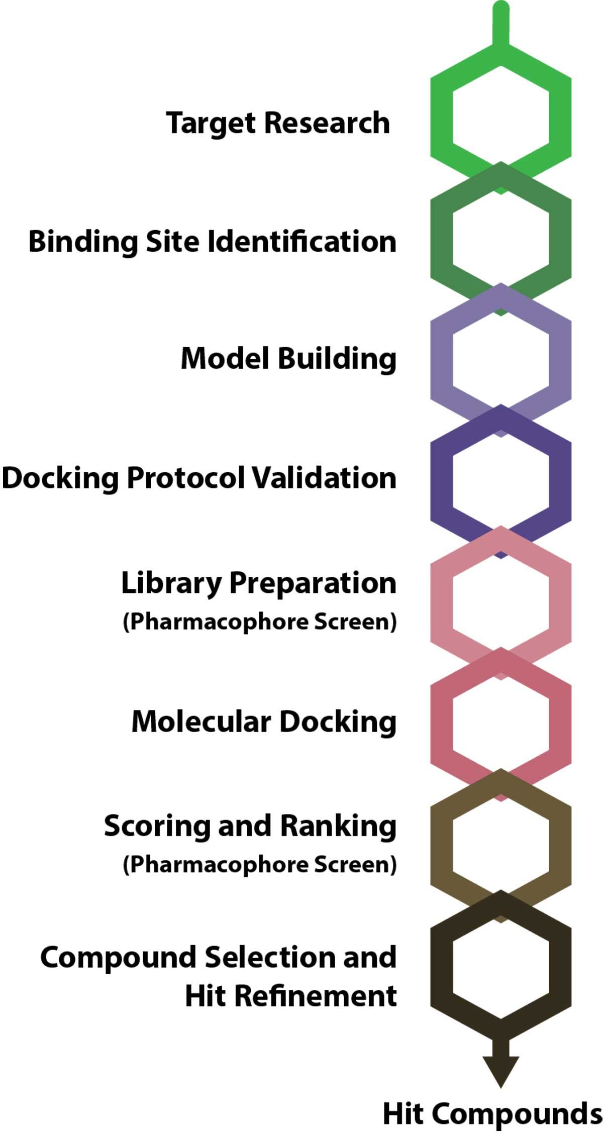 The steps involved in a typical virtual screening pipeline from target research to hit refinement, listed alongside colored hexagons.